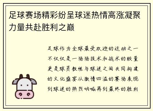 足球赛场精彩纷呈球迷热情高涨凝聚力量共赴胜利之巅