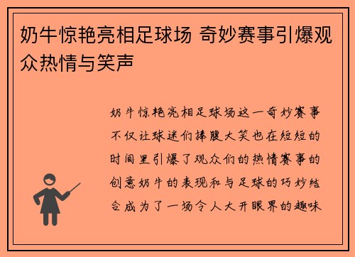 奶牛惊艳亮相足球场 奇妙赛事引爆观众热情与笑声