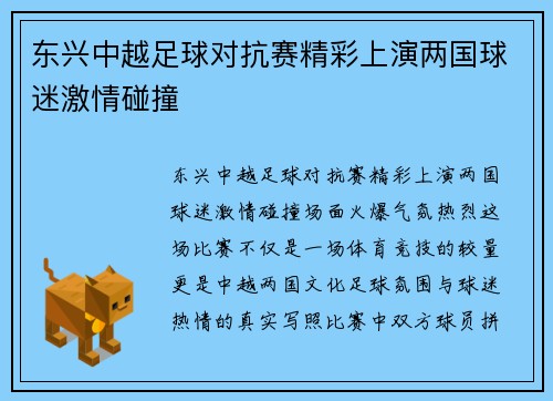 东兴中越足球对抗赛精彩上演两国球迷激情碰撞