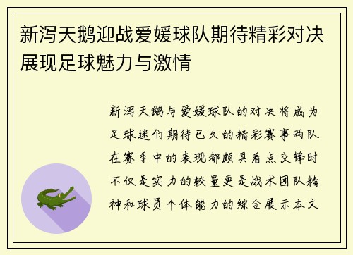新泻天鹅迎战爱媛球队期待精彩对决展现足球魅力与激情