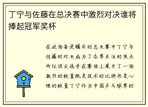 丁宁与佐藤在总决赛中激烈对决谁将捧起冠军奖杯
