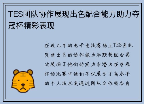 TES团队协作展现出色配合能力助力夺冠杯精彩表现